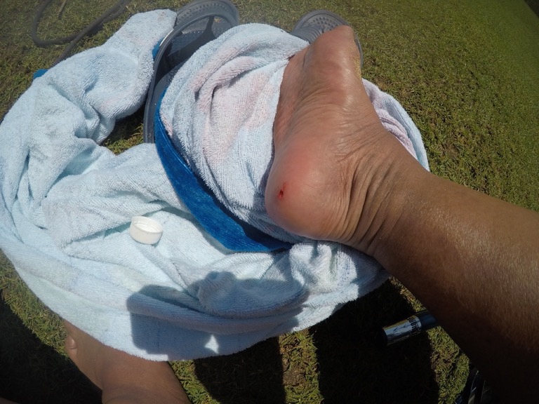 UNADJUSTEDNONRAW_thumb_29232